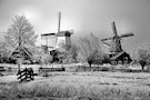 Winter In Holland 6