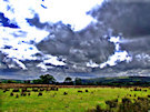 Irish Countryside 5 (Dark Clouds)