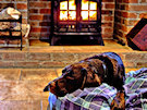 Labrador Getting Warmed In Front Of An Open Fire During The Winter