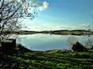 Lough Cowey Lake - Ireland