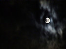 Moonlight 11