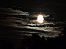 Moonlit Night Sky