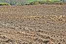 Ploughed Fields 2