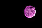 Purple Moon 2