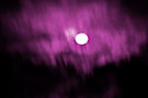Purple Moonlight 9