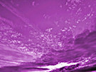 Purple Sky 5