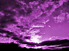 Purple Sky 6