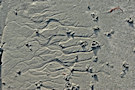 Sand 4