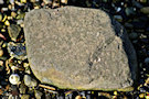 Stone 5