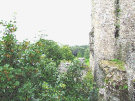 Blarney Castle 4
