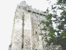Blarney Castle 5