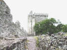 Blarney Castle 6