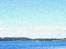 View Of Castleward From Lough Shore Road Just North Of Portaferry