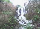 Crawfordsburn Country Park Waterfall, County Down, Northern Ireland