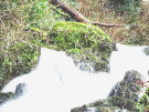 Crawfordsburn Country Park Waterfall 2, County Down, Northern Ireland