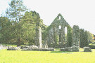 Grey Abbey Ruins 9, County Down, Northern Ireland