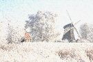 Winter In Holland 3