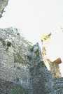 Portaferry Castle 8