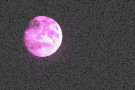 Purple Moon 3