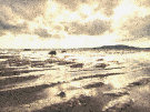 Scrabo Tower Beach