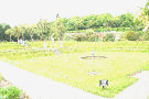 Sunken Garden 3