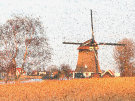 windmill 8