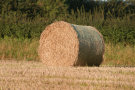 Hay Bales Hay Bales