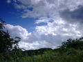 Irish Countryside 10
