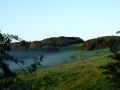 Irish Countryside 11