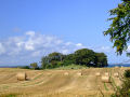 Irish Countryside 12 (Straw Bales, Early Autumn)