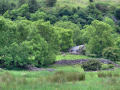 Irish Countryside