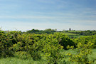 Irish Countryside 7