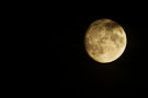 Moon Moon