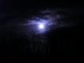 Moonlight Ireland 2