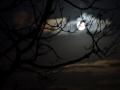 Moonlight Ireland 3