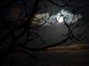 Moonlight Ireland 3