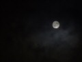 Moonlight 10
