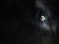 Moonlight 11