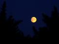 Moonlight 5
