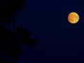 Moonlight 6
