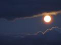Moonlight 8