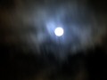 Moonlight 9