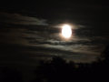 Moonlit Night Sky