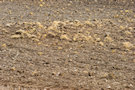 Ploughed Field Ploughed Field