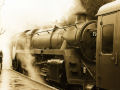 Steam Engine