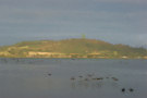 Brent Geese