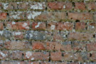 Brick Wall 6