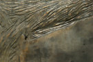 Bronze Texture 4