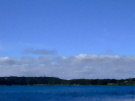 View Of Castleward From Lough Shore Road Just North Of Portaferry