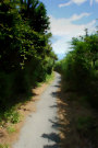 Country Path 3